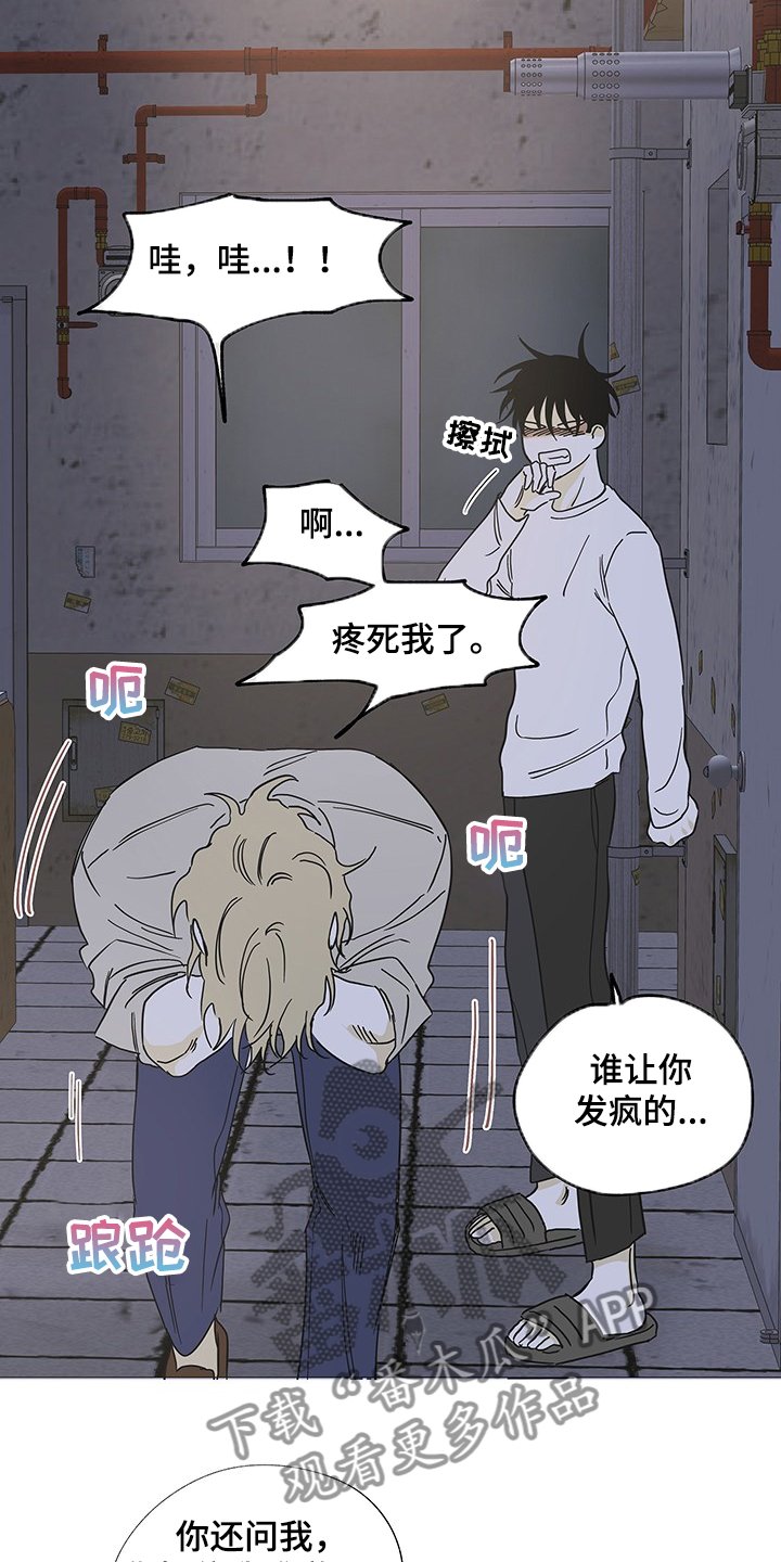 第13章：那个人怎么样