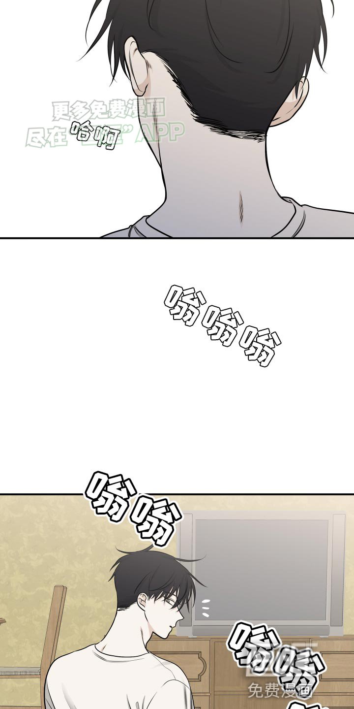 第144章：【第三季】整理一些东西