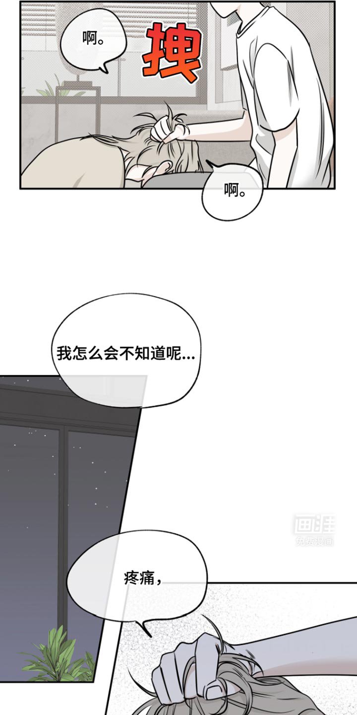 第161章：【第三季】我要回家