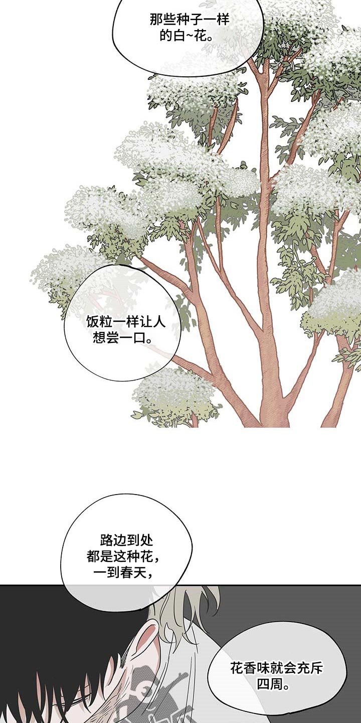 第19章：花香