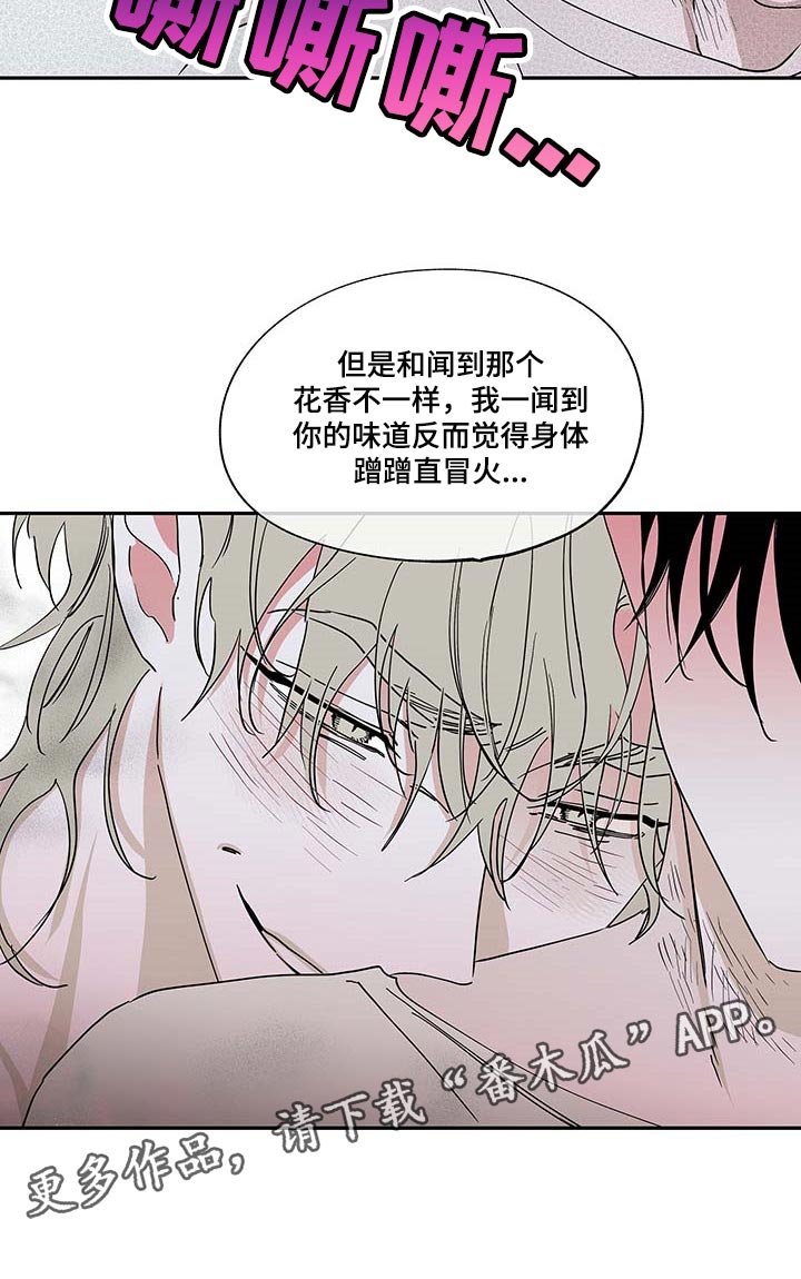 第19章：花香