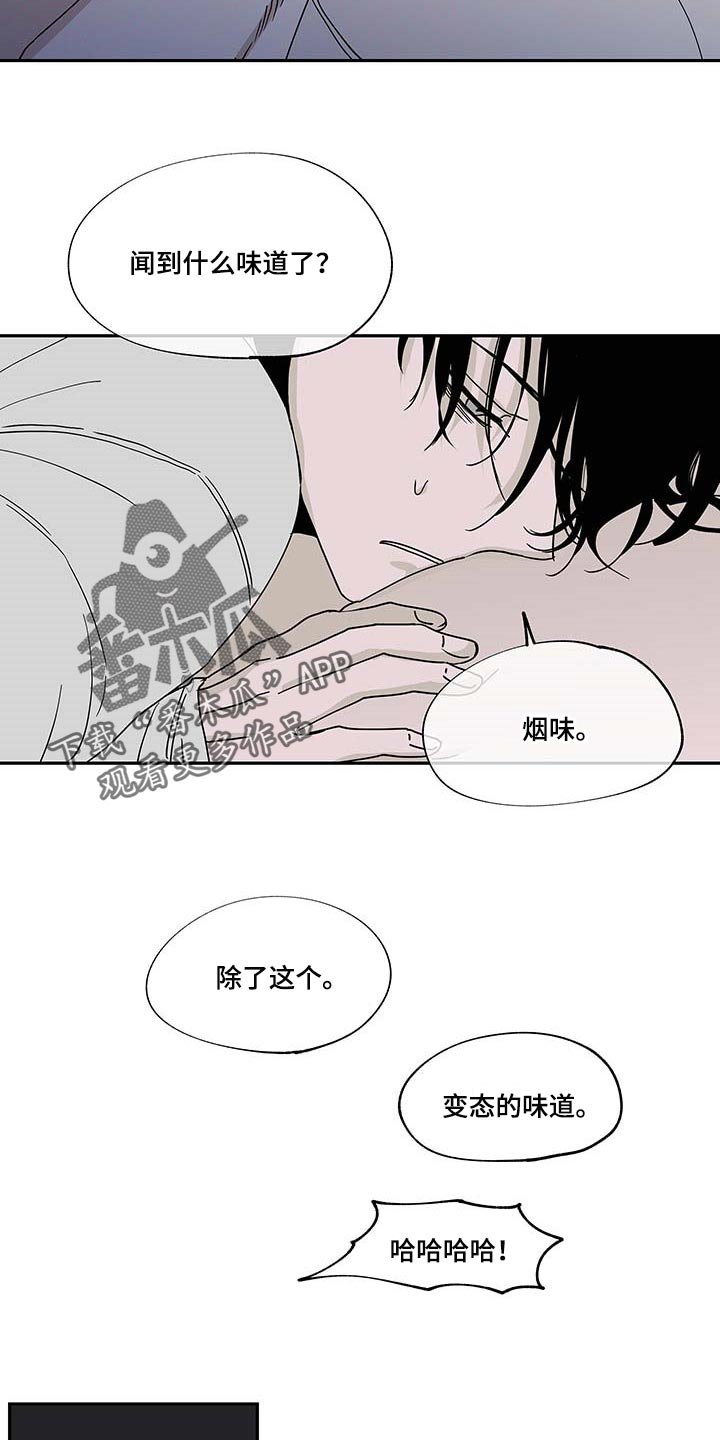 第20章：味道