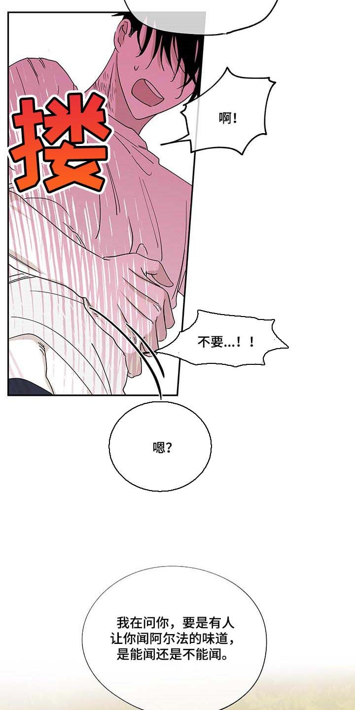 第20章：味道