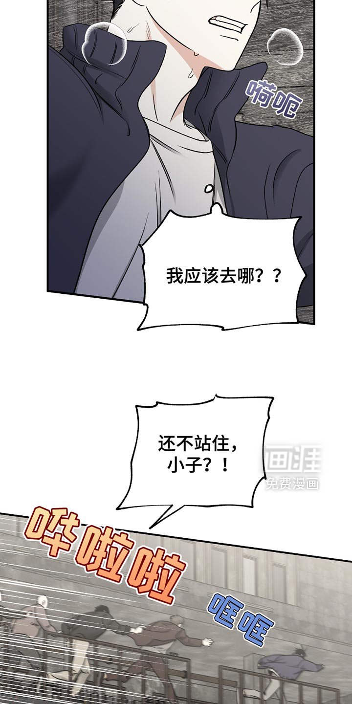 第202章：【第三季】我应该去哪？