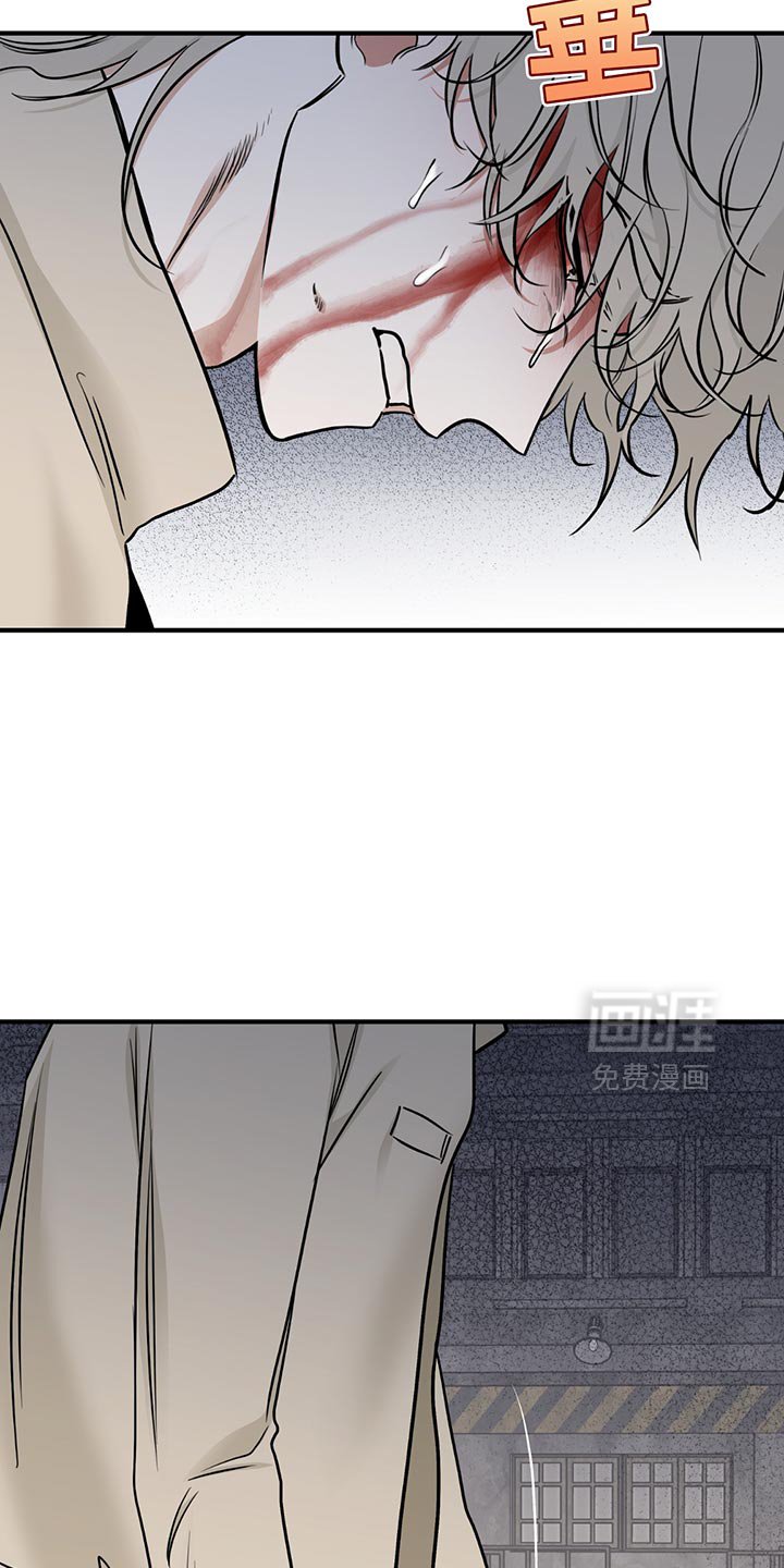 第204章：【第三季】我总是对你做错事