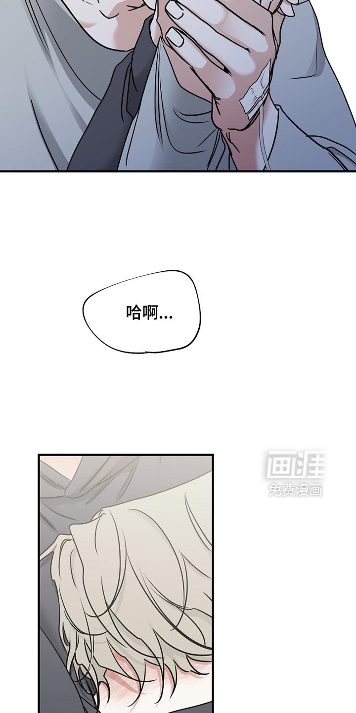 第213章：【第三季】最后的机会