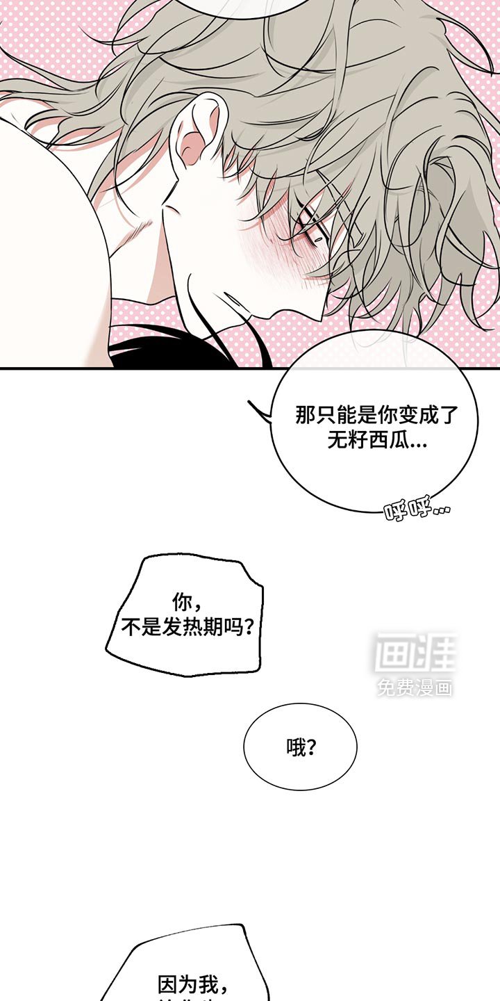第225章：【第三季】想去看大海