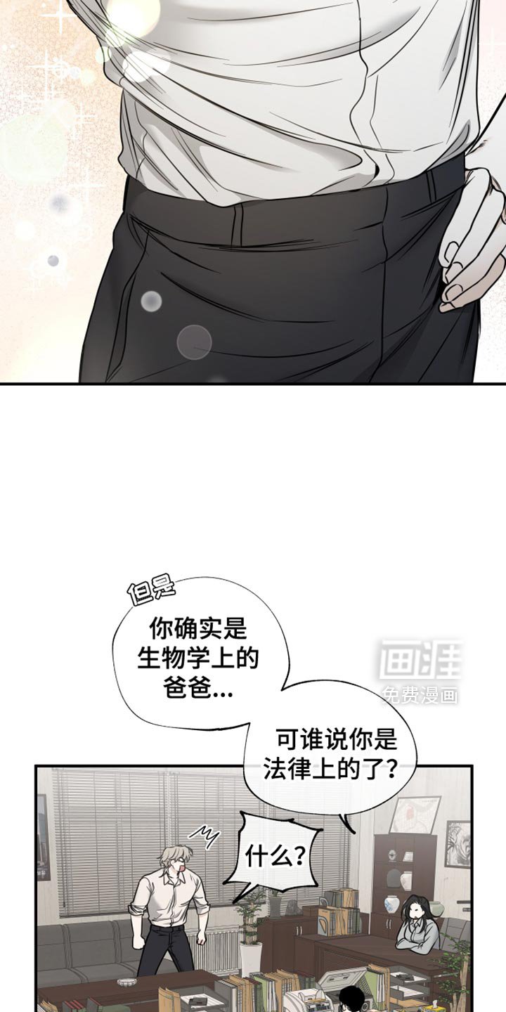 第231章：【番外】我要当爸爸了