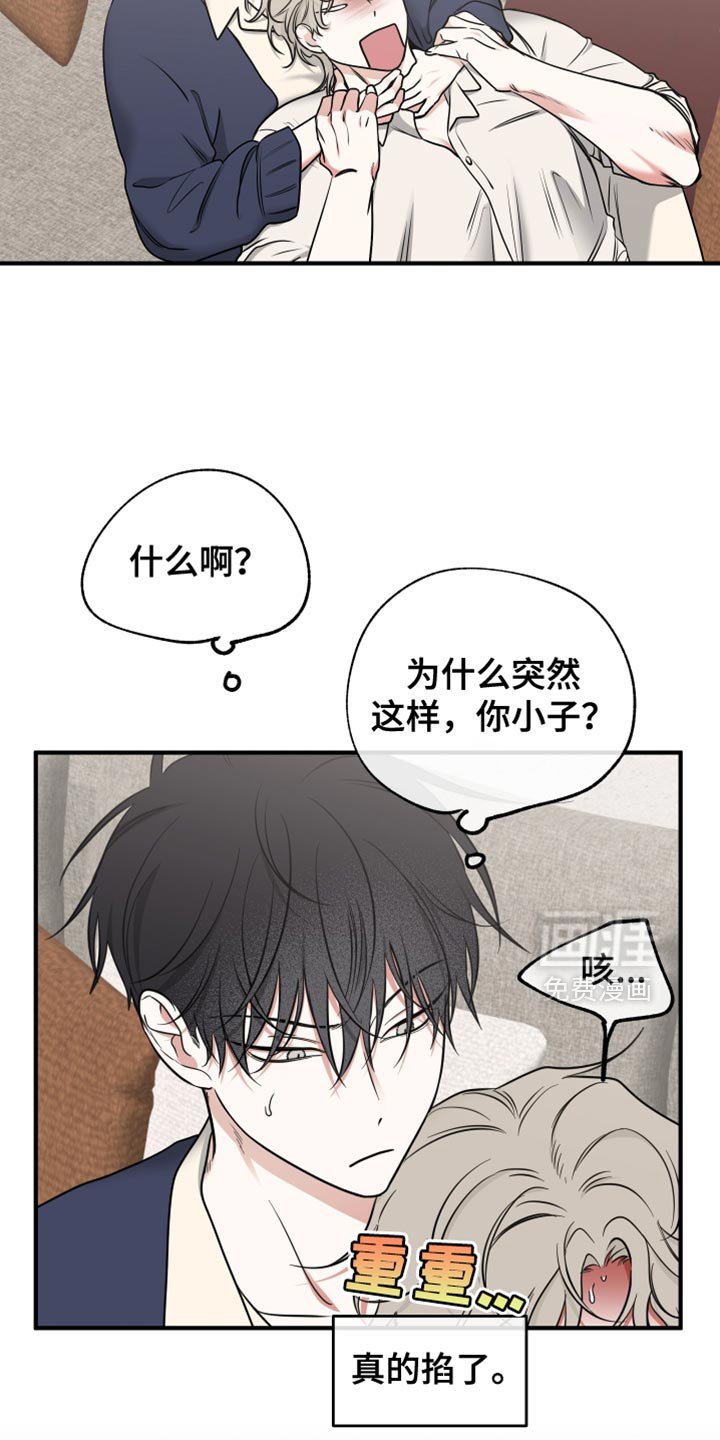 第231章：【番外】我要当爸爸了