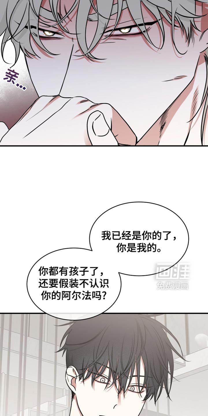 第233章：【番外】结婚吧