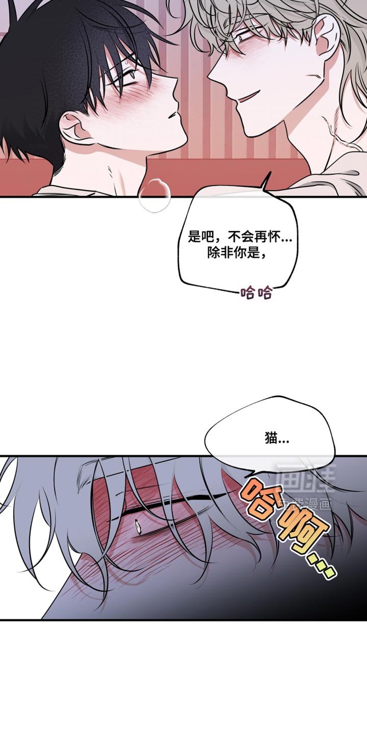第242章：【番外】无法区分