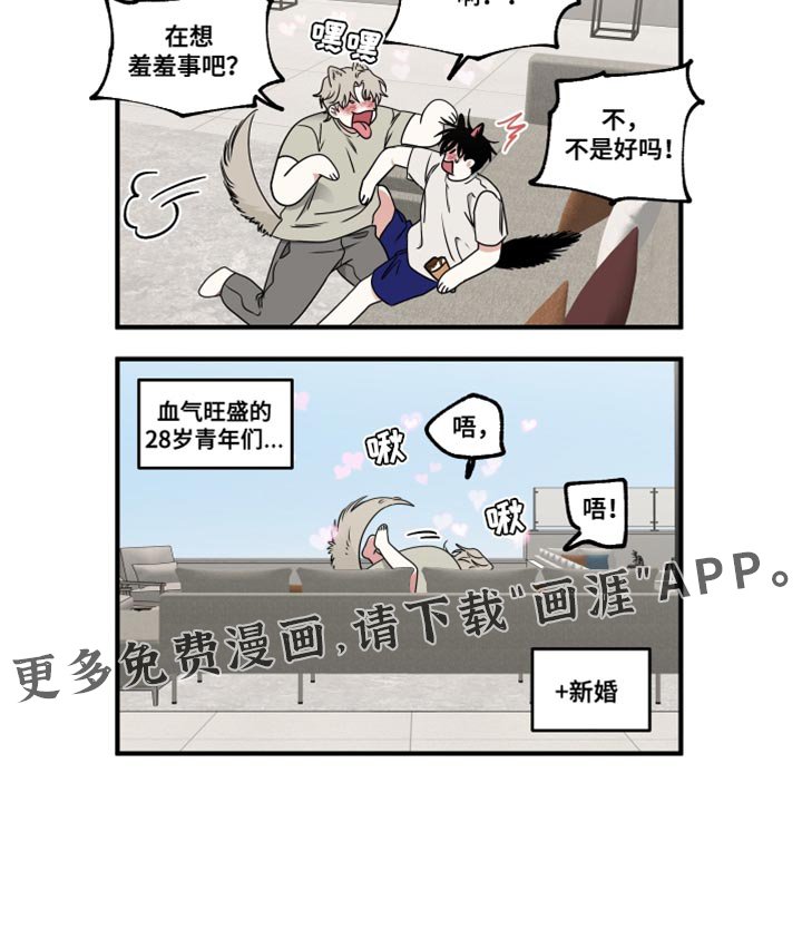 第242章：【番外】无法区分
