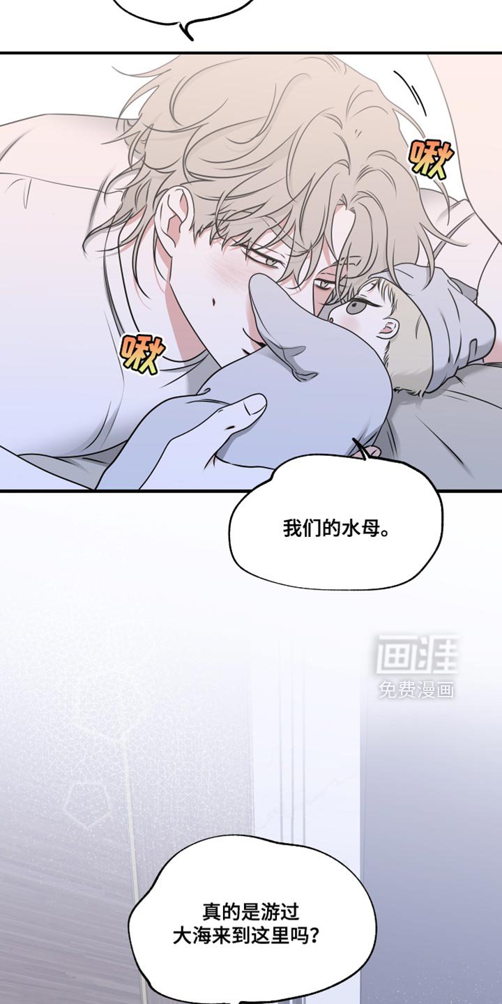 第245章：【番外】我们的水母