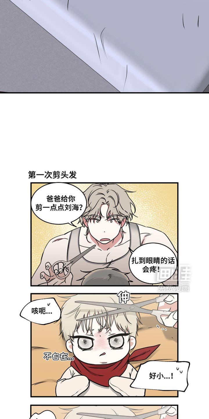 第245章：【番外】我们的水母