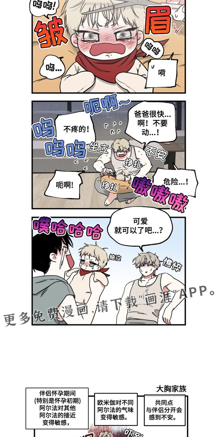 第245章：【番外】我们的水母