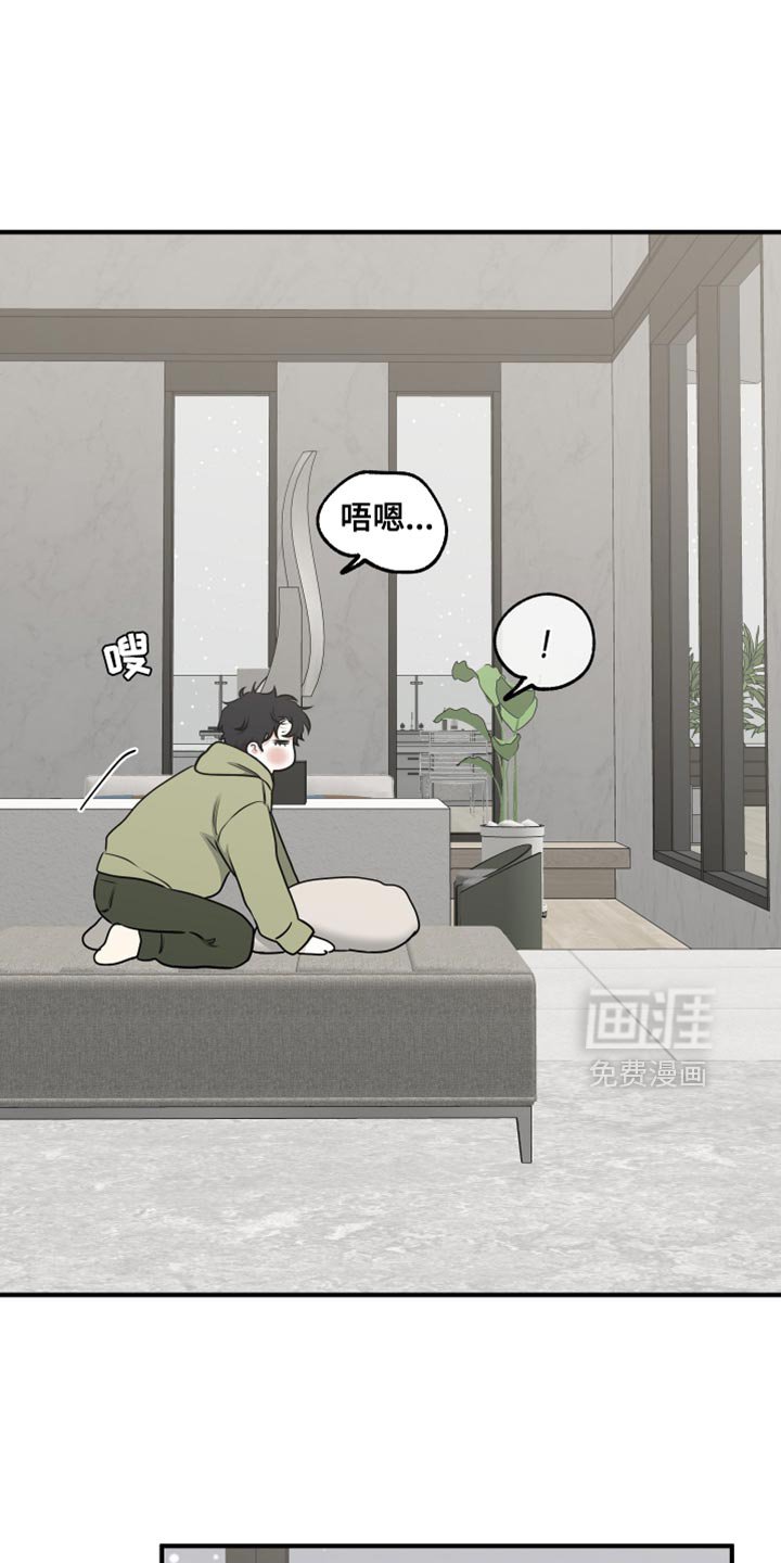 第253章：【番外】看雪