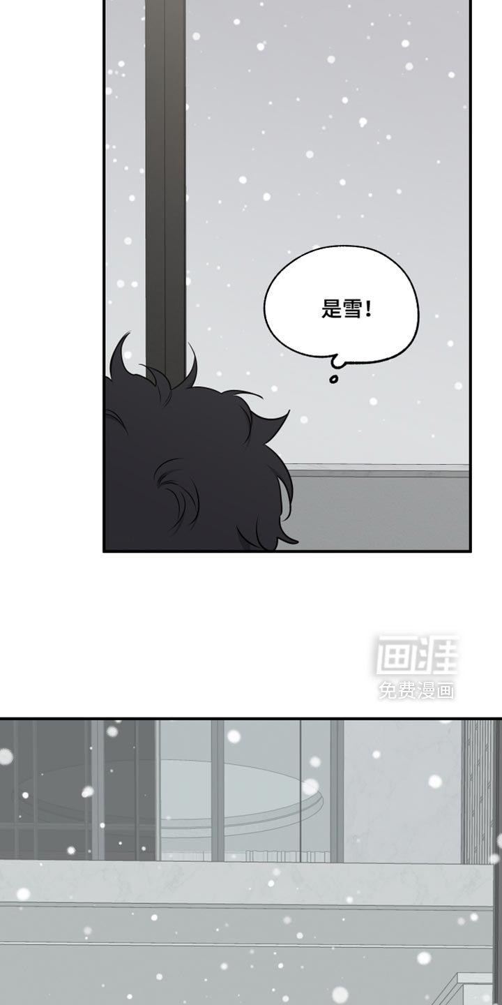 第253章：【番外】看雪
