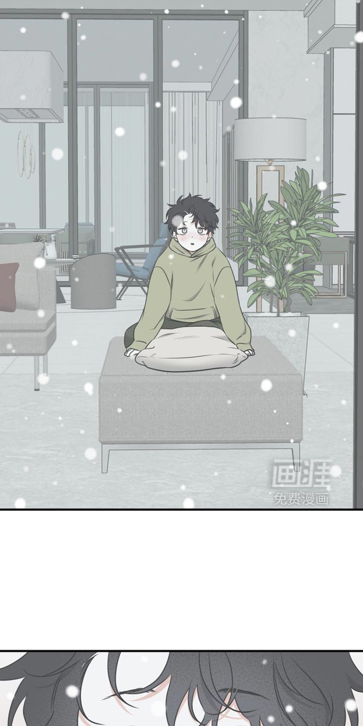 第253章：【番外】看雪