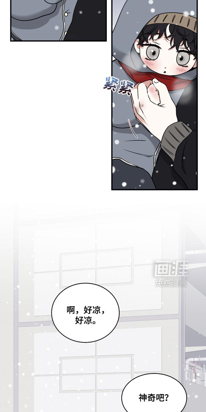 第253章：【番外】看雪