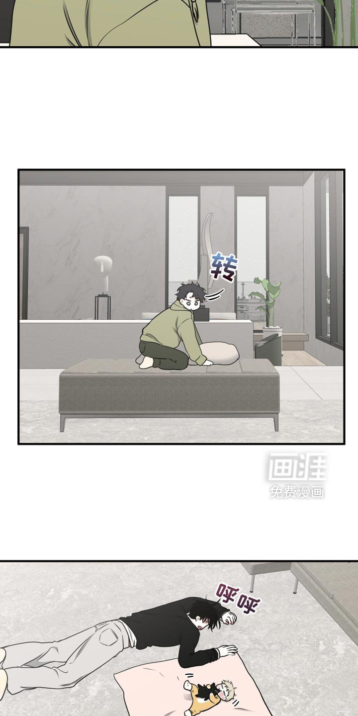 第253章：【番外】看雪