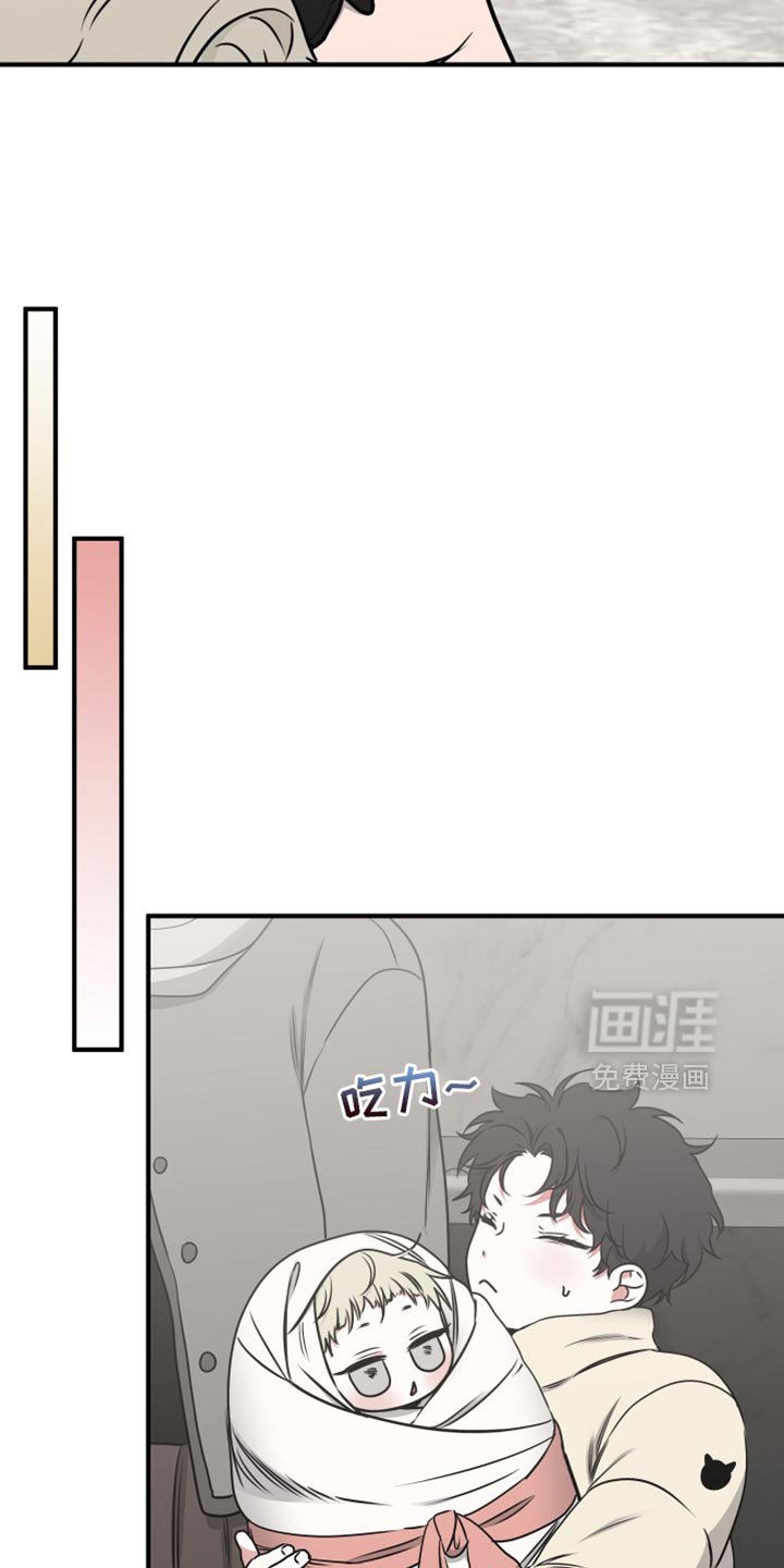 第253章：【番外】看雪