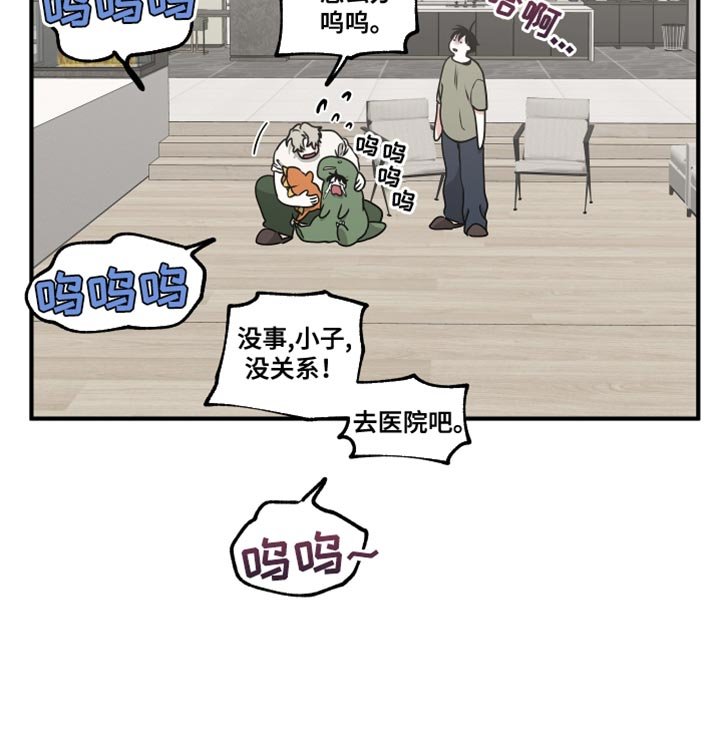 第256章：【番外】摔倒了