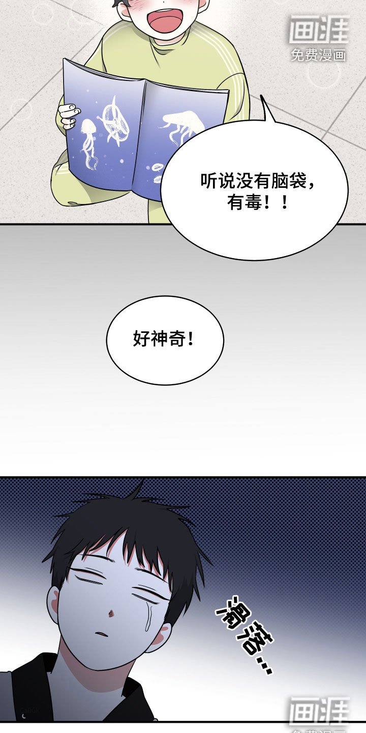 第260章：【番外】打架