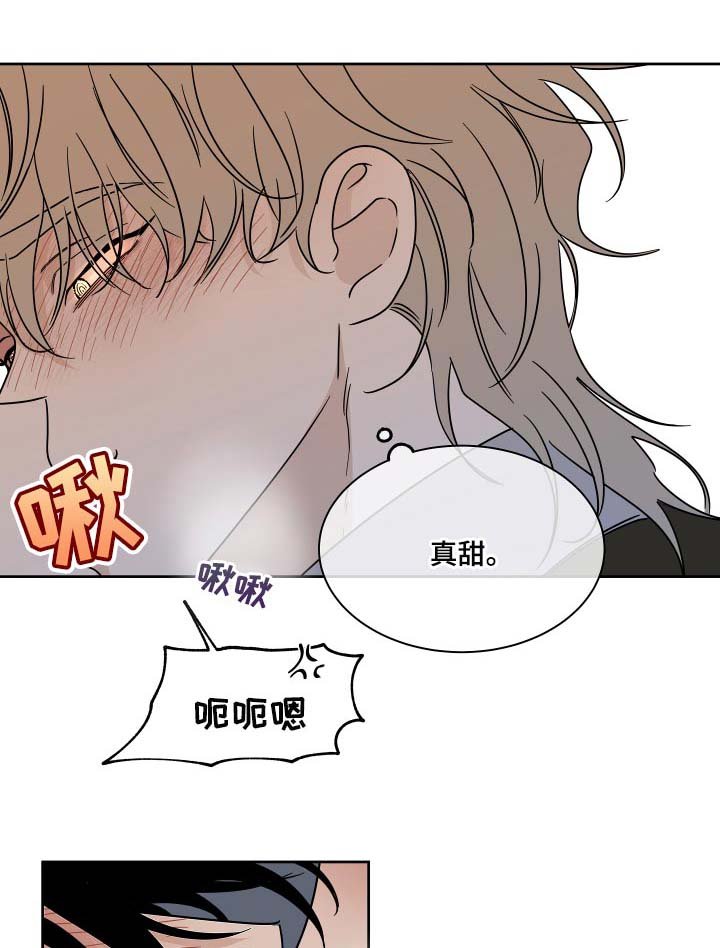 第40章：安心