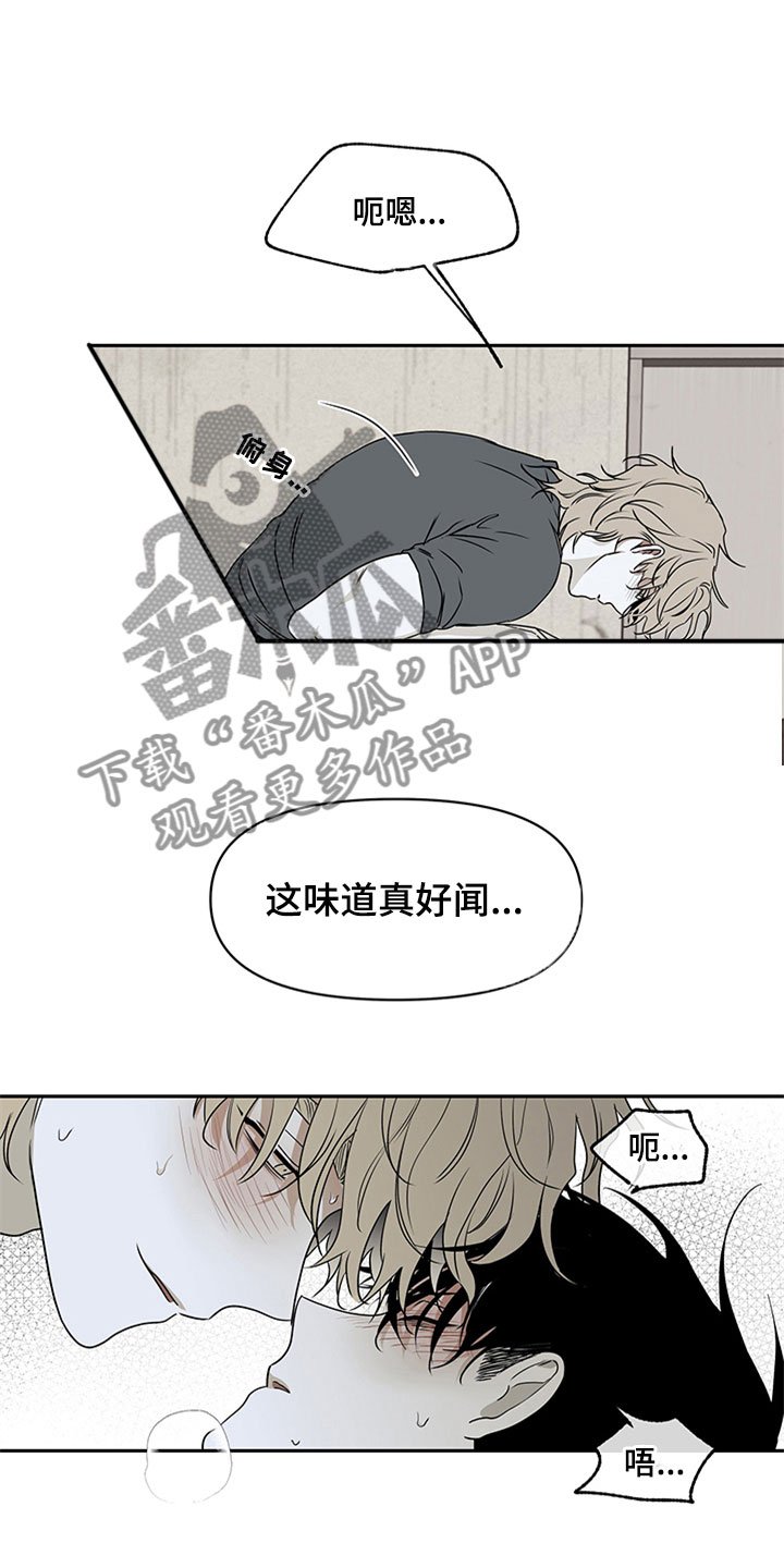 第5章：容身之所