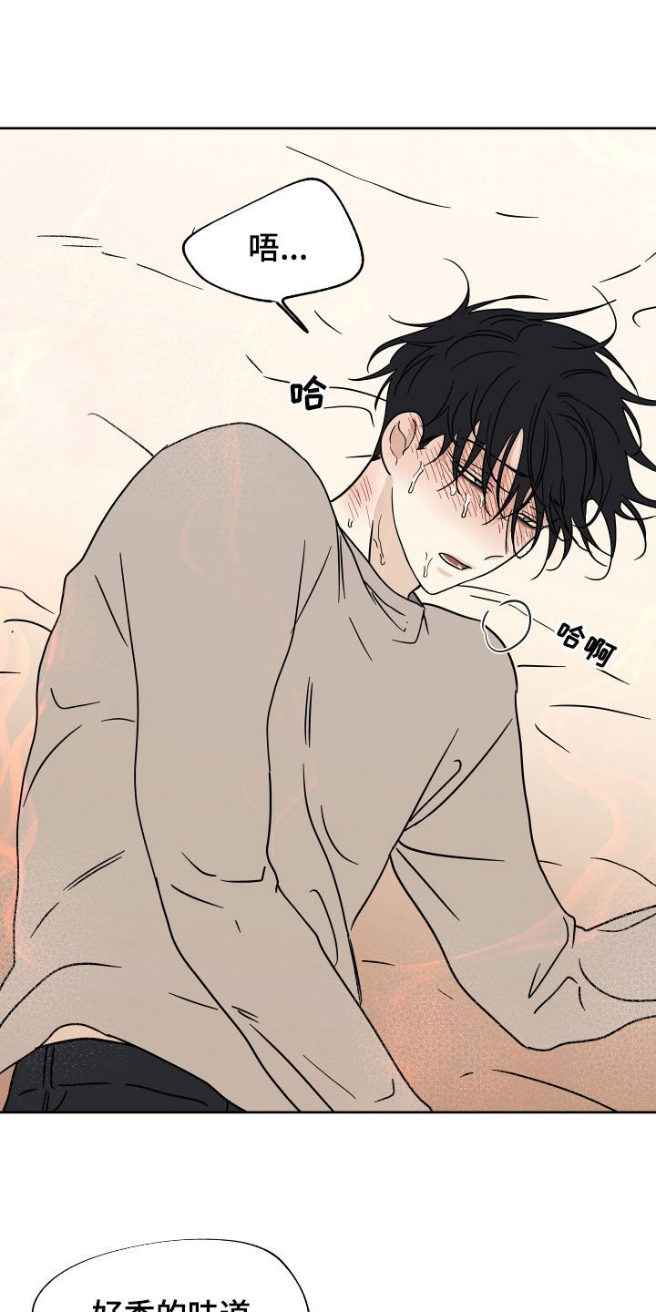 第50章：催吐