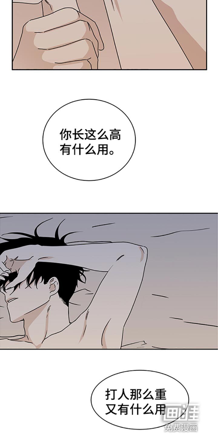 第52章：不理解