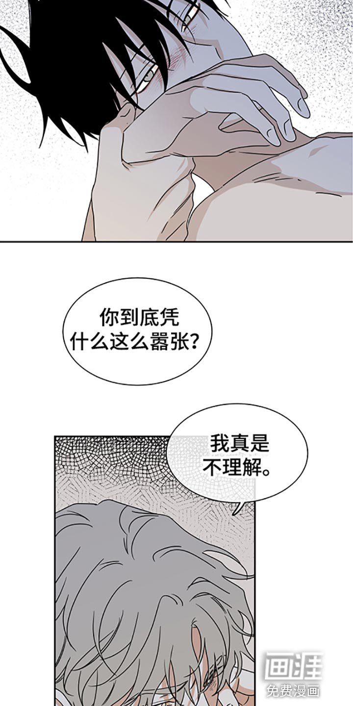 第52章：不理解