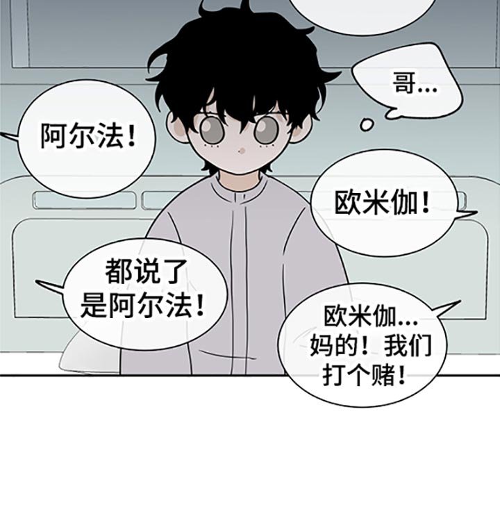 第52章：不理解