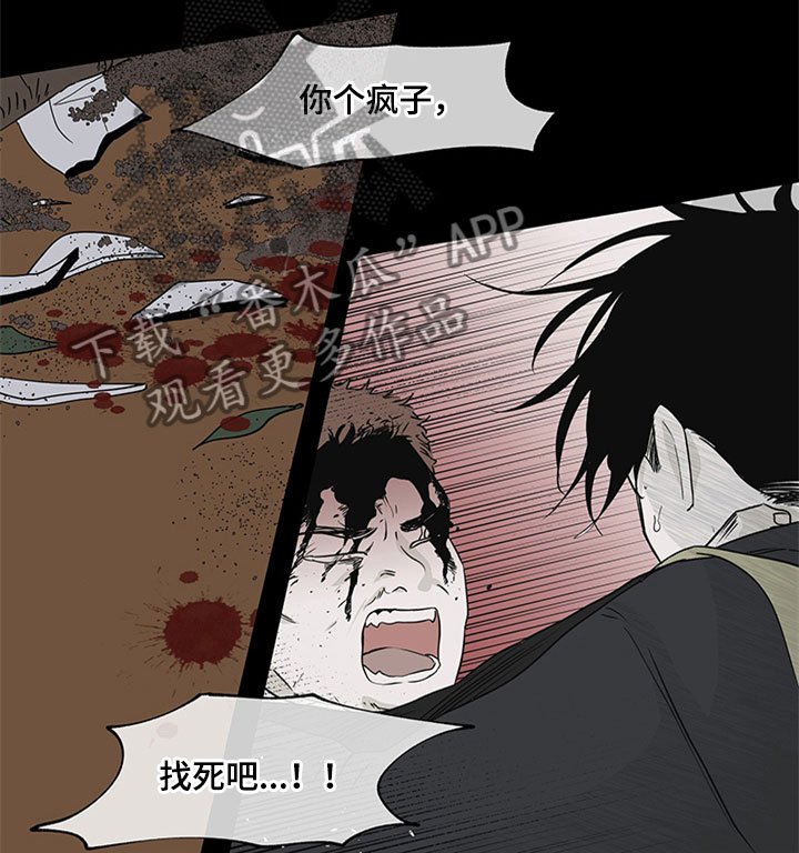 第9章：两个选择