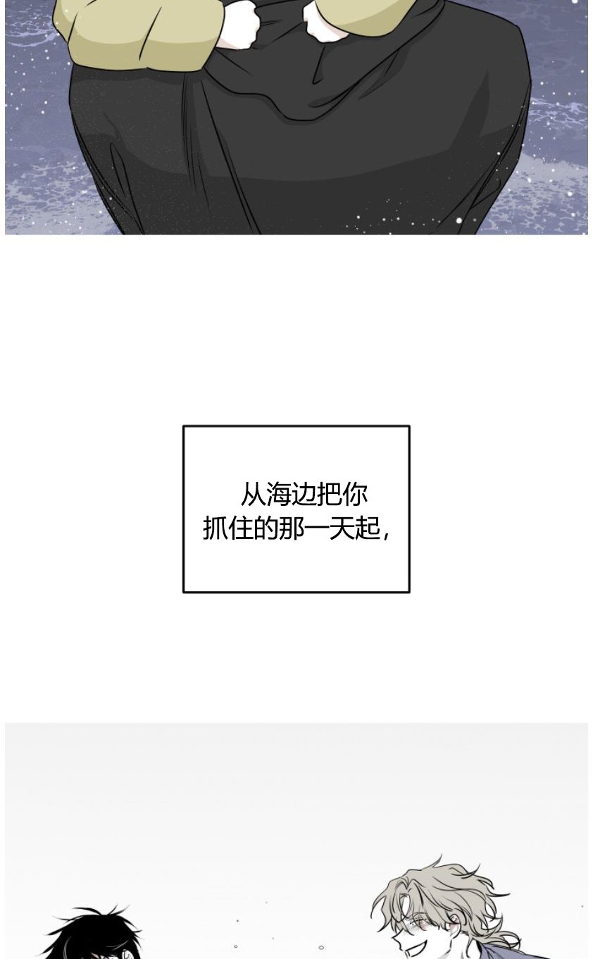 第93章：【第二季】质疑