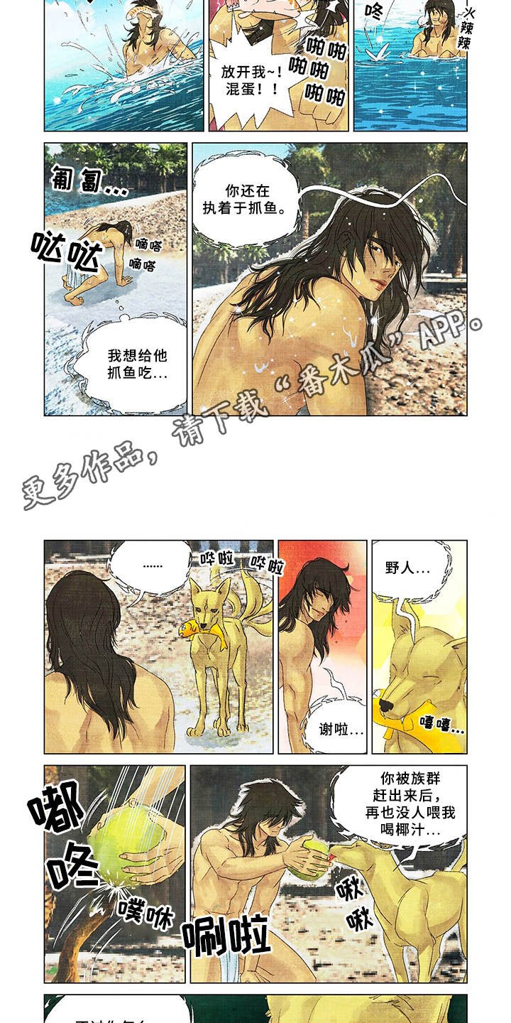 第10章：捕食