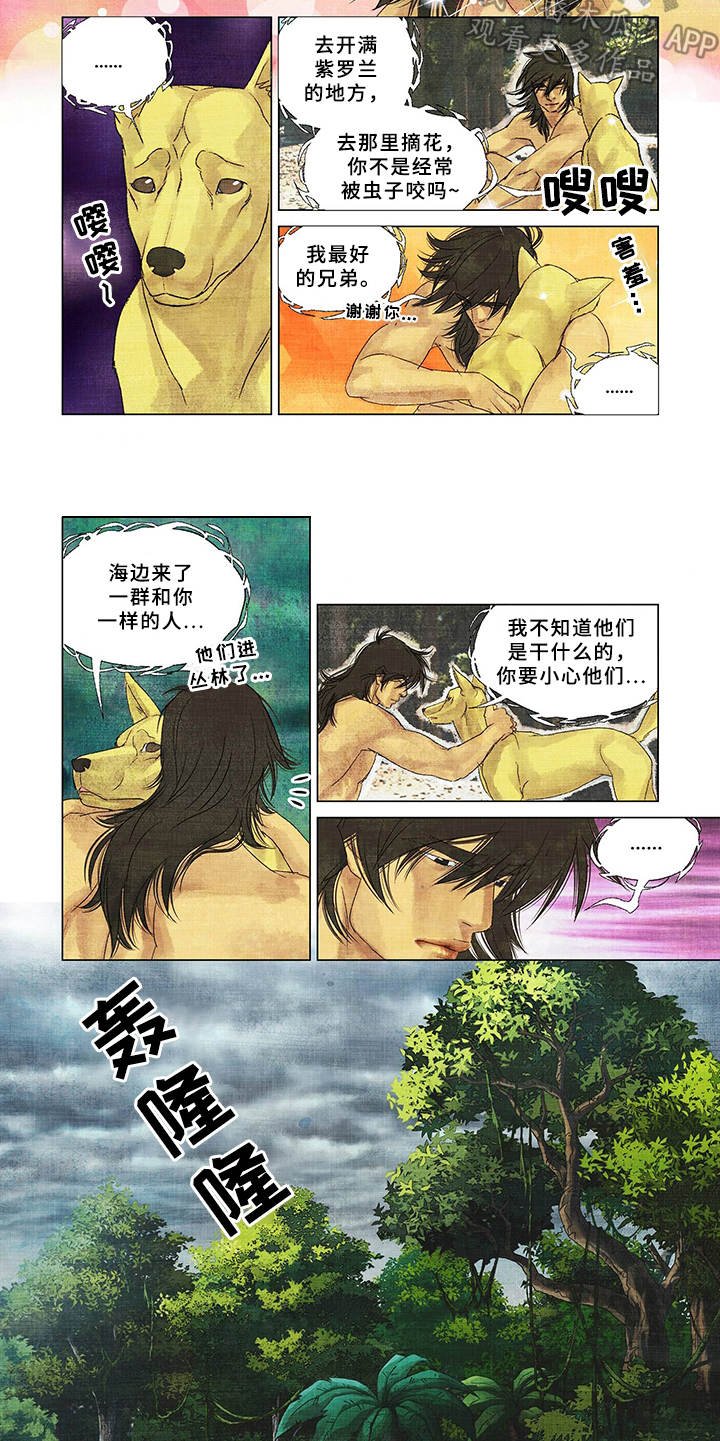 第10章：捕食