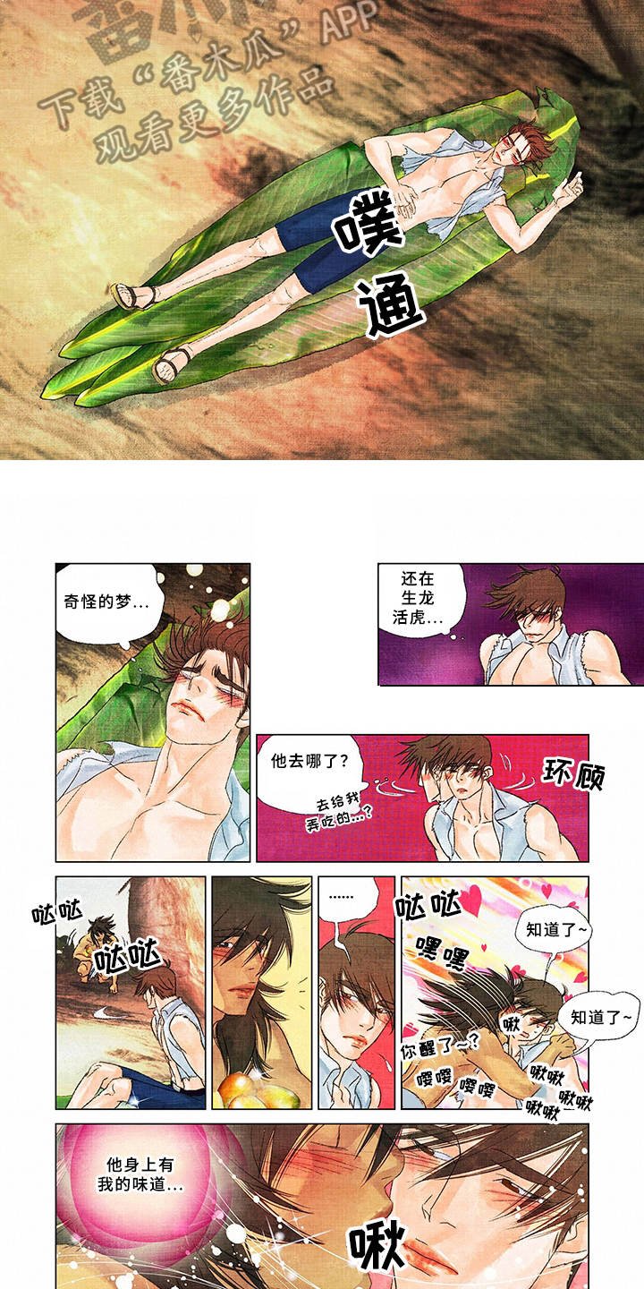 第13章：取名