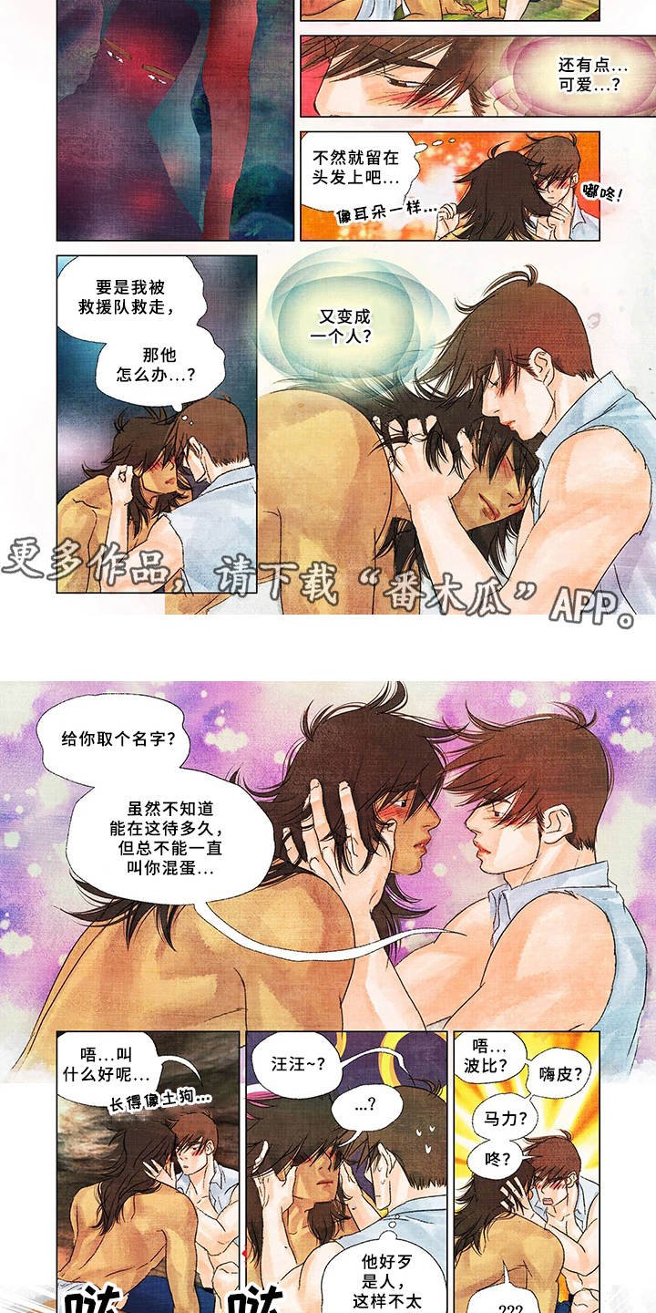 第13章：取名
