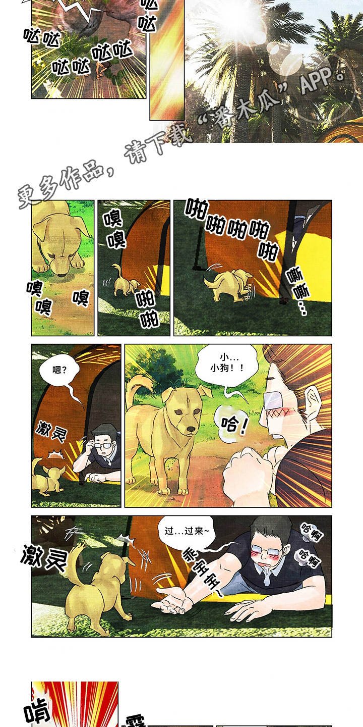 第13章：取名