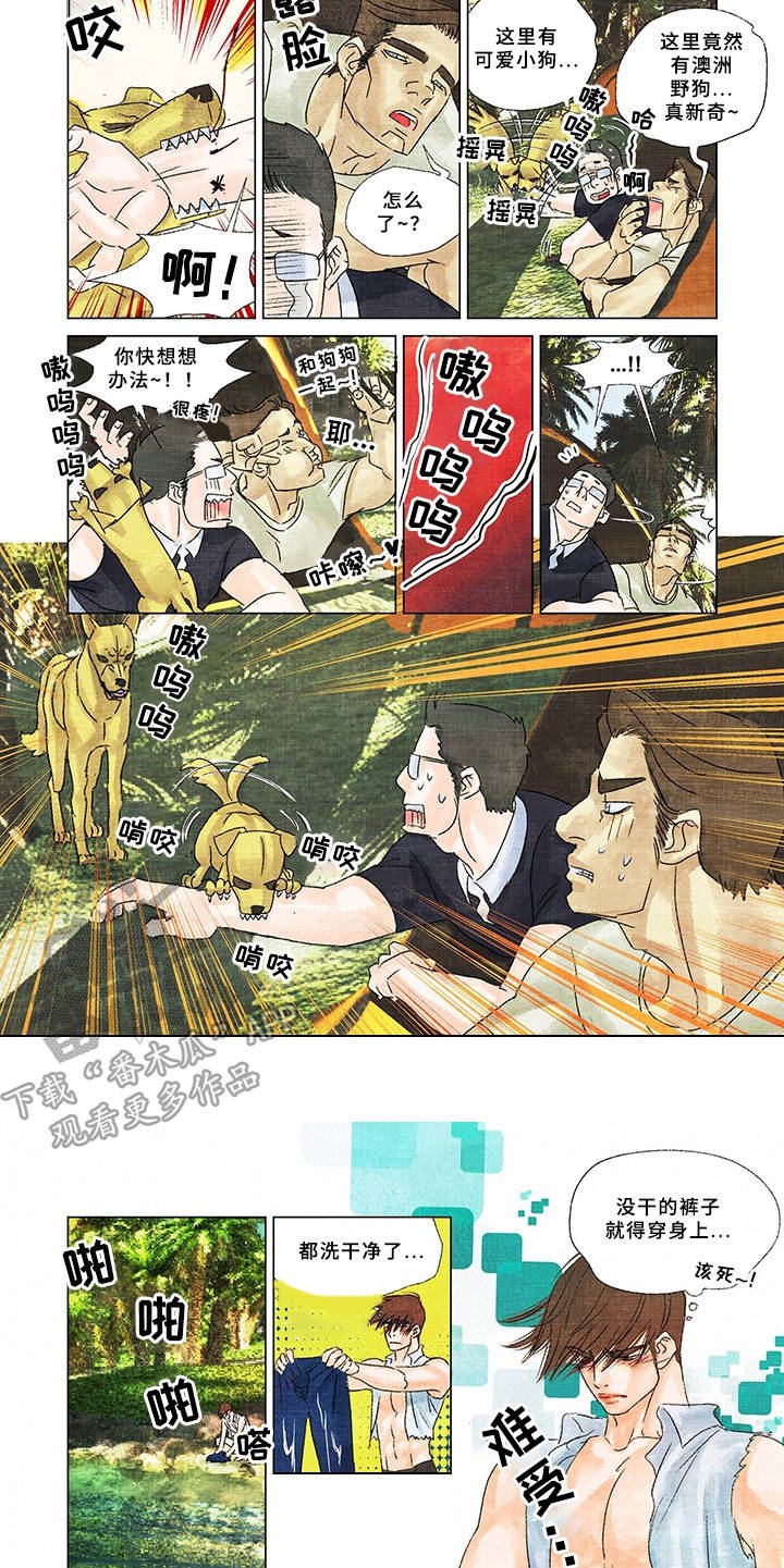 第13章：取名