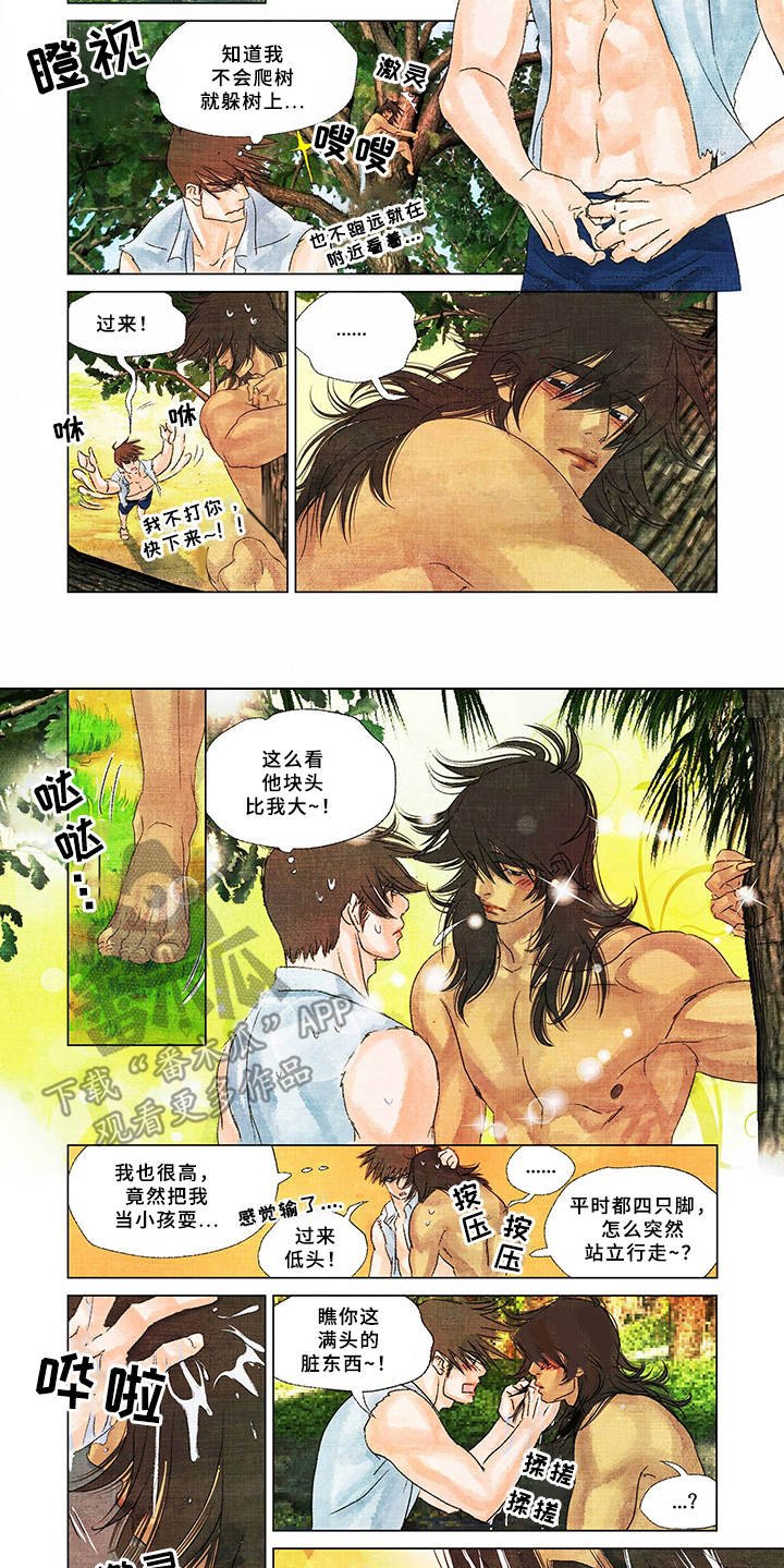 第13章：取名
