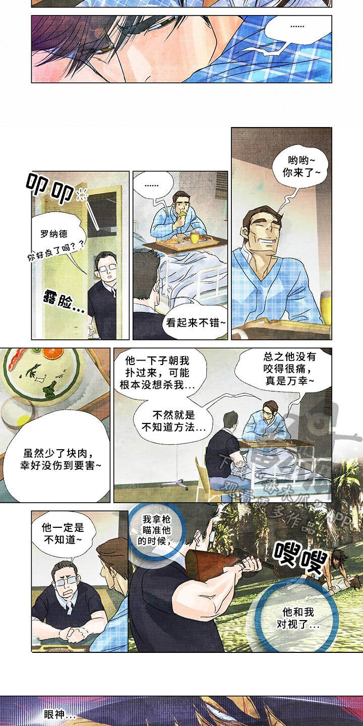 第17章：不一般