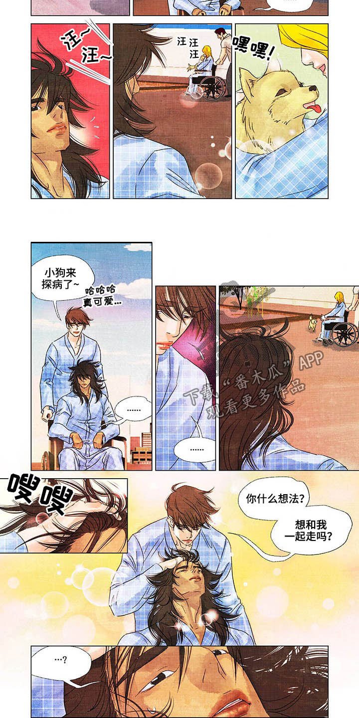 第19章：出院
