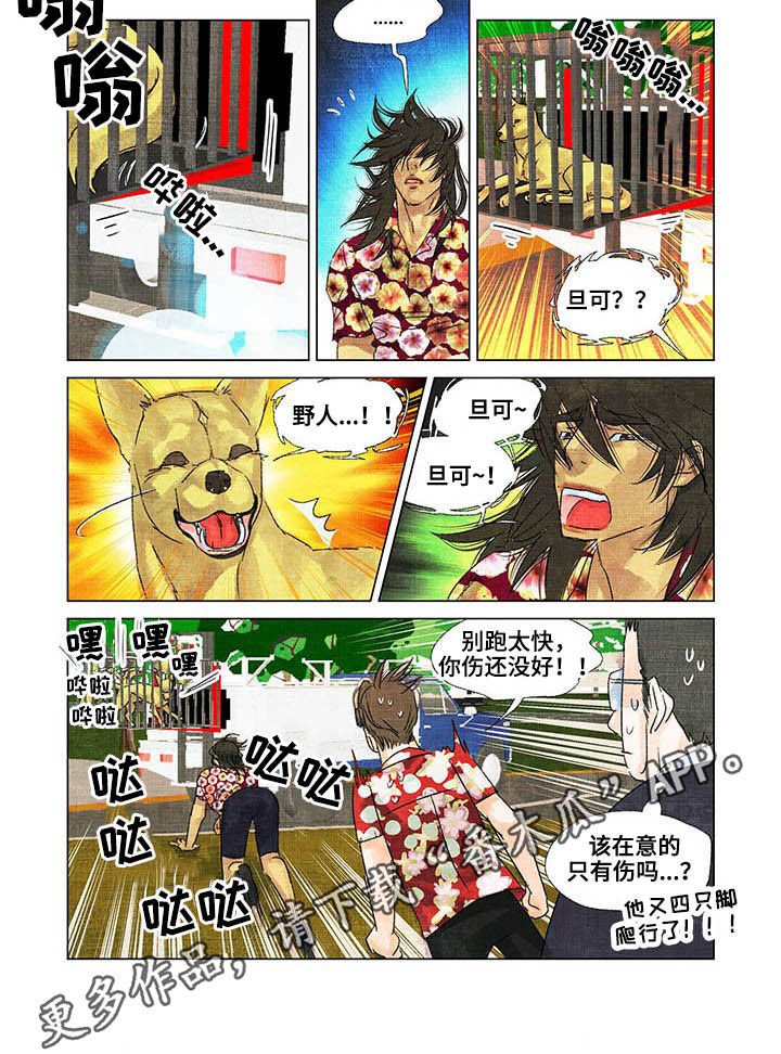 第19章：出院