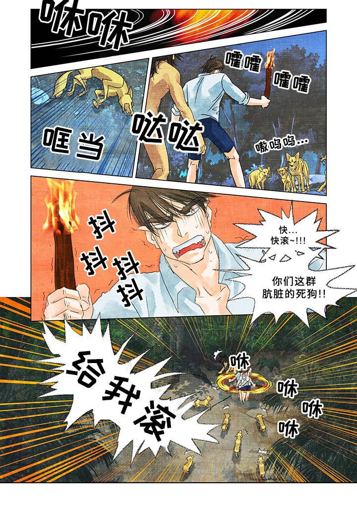 第2章：野狗
