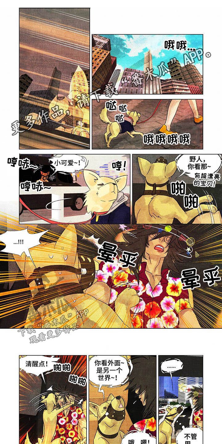 第21章：教导
