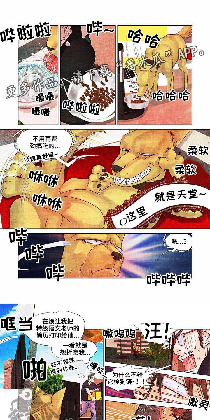 第25章：言行不一