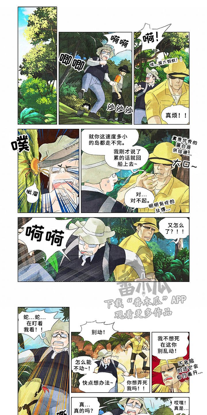 第7章：登高望远