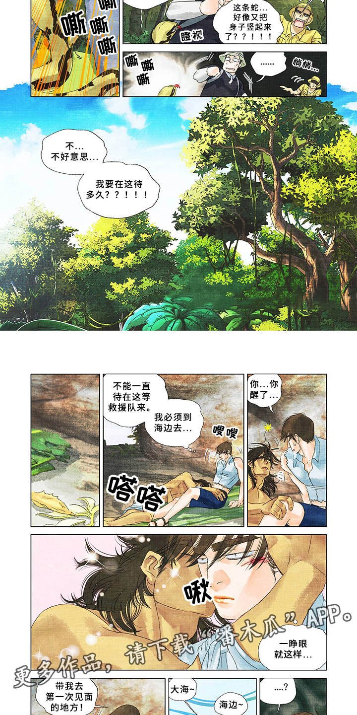 第7章：登高望远